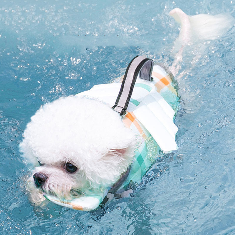 πΎ Dog Life Jacket β Cute & Safe Swimwear for Your Furry Friend! πΆπ¦