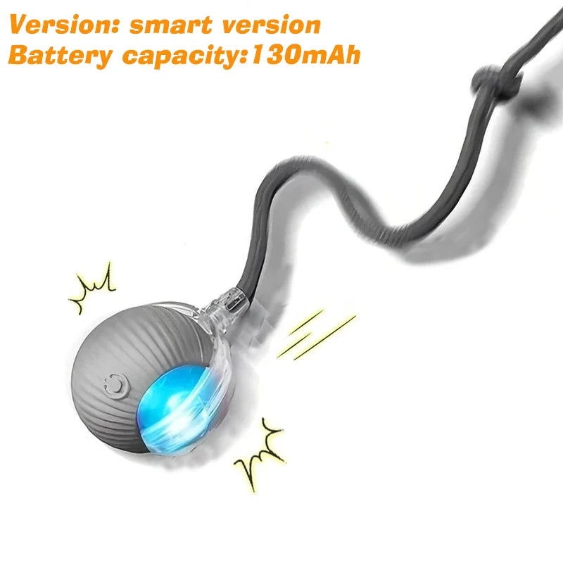 Rechargeable Interactive Cat Ball