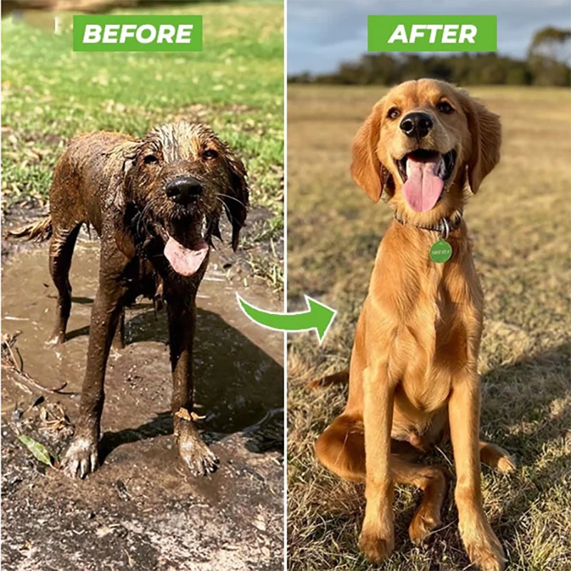 Foam & Rinse Hose Attachment for Dogs