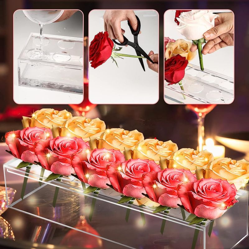 Elegant Transparent Flower Vase