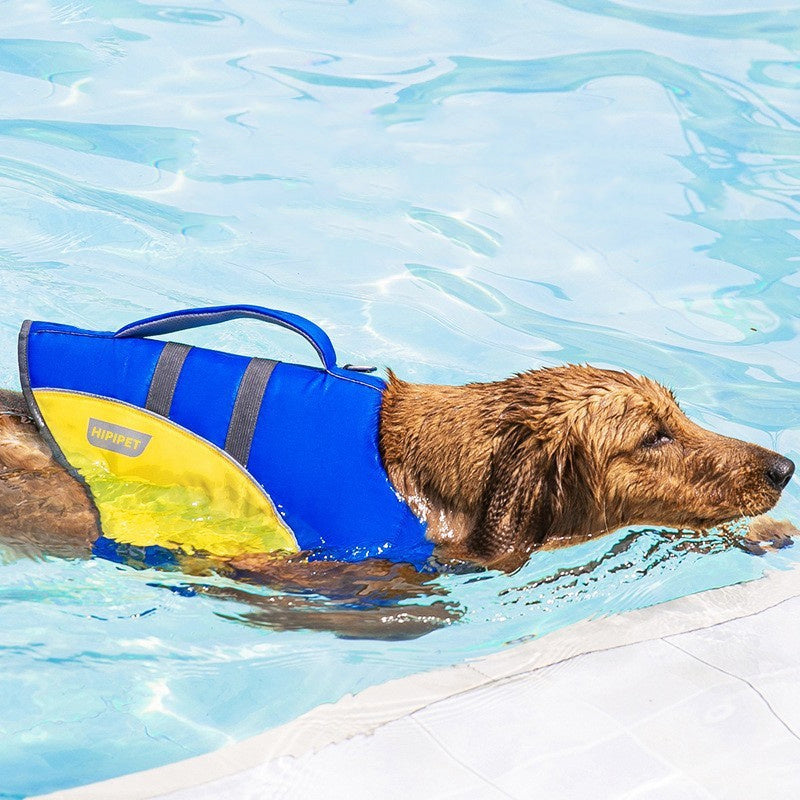 πΎ Dog Life Jacket β Cute & Safe Swimwear for Your Furry Friend! πΆπ¦