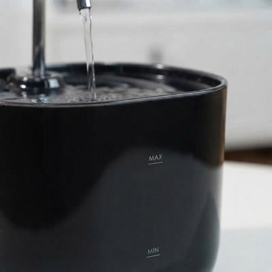 Automatic Pet Water Fountain