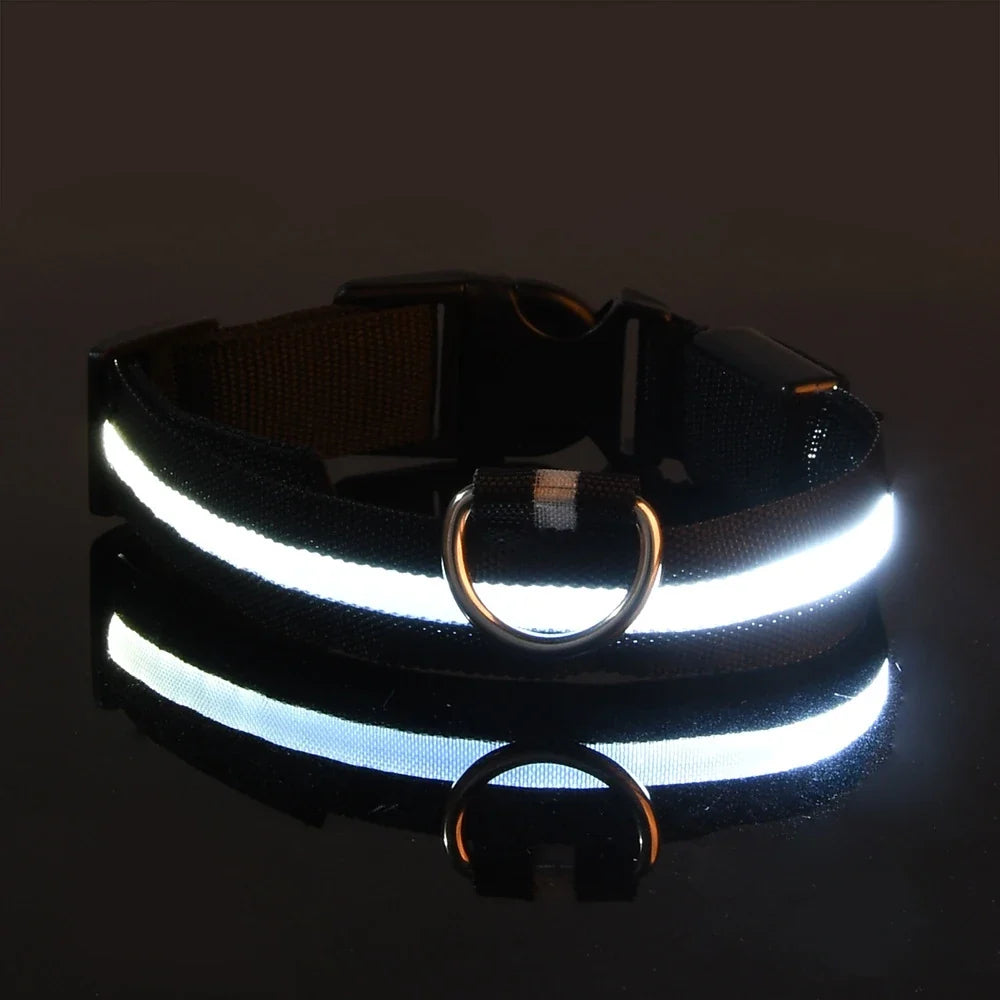 LED night safety dog collar for Seasonal Picks