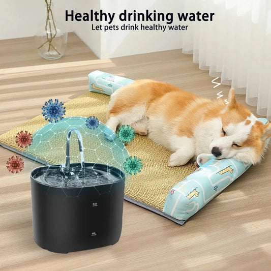 Automatic Pet Water Fountain