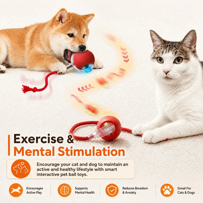 Rechargeable Interactive Cat Ball