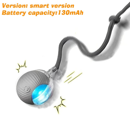 Rechargeable Interactive Cat Ball