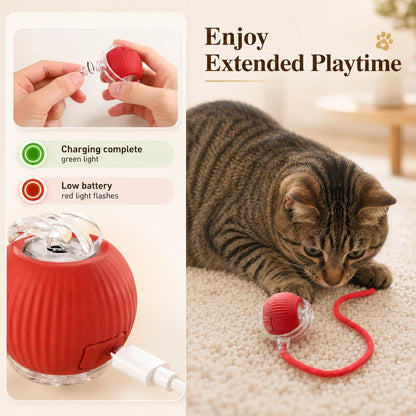 Rechargeable Interactive Cat Ball
