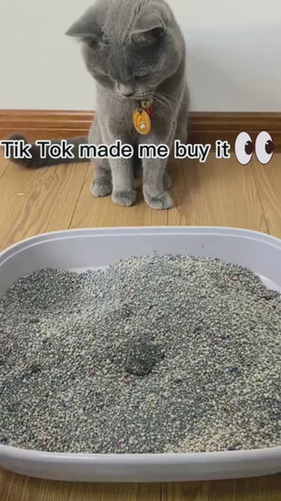 1.mp4