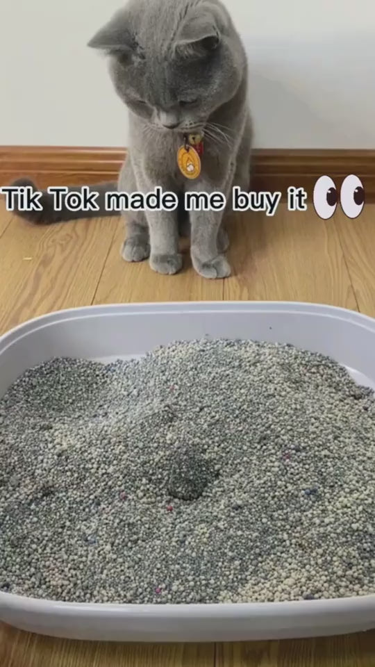 1.mp4