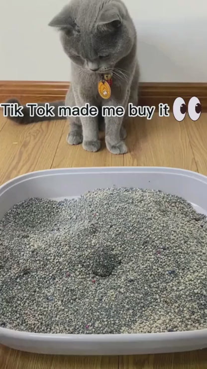 1.mp4